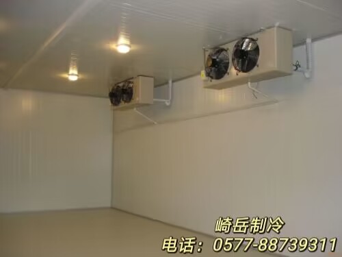 建造低温冷库投资预算参考指南